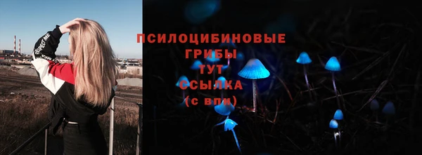 твердый Алексеевка