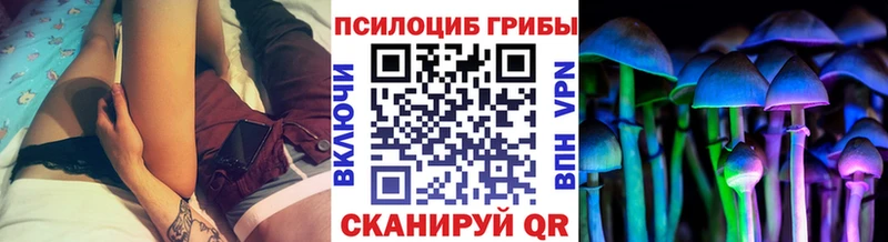 Псилоцибиновые грибы Magic Shrooms  Сасово 